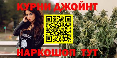 гашик Бузулук