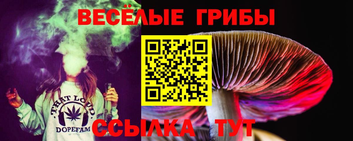 Псилоцибиновые грибы прущие грибы Ялуторовск
